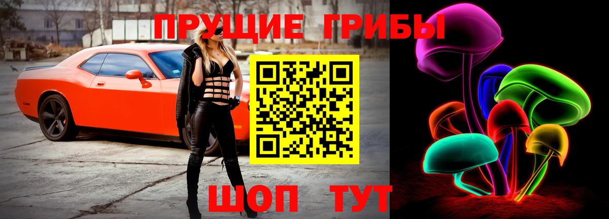 Псилоцибиновые грибы Cubensis  Вход с VPN  Псилоцибиновые грибы GOLDEN TEACHER  Нерюнгри 